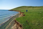 Макс ушел за чистой водой